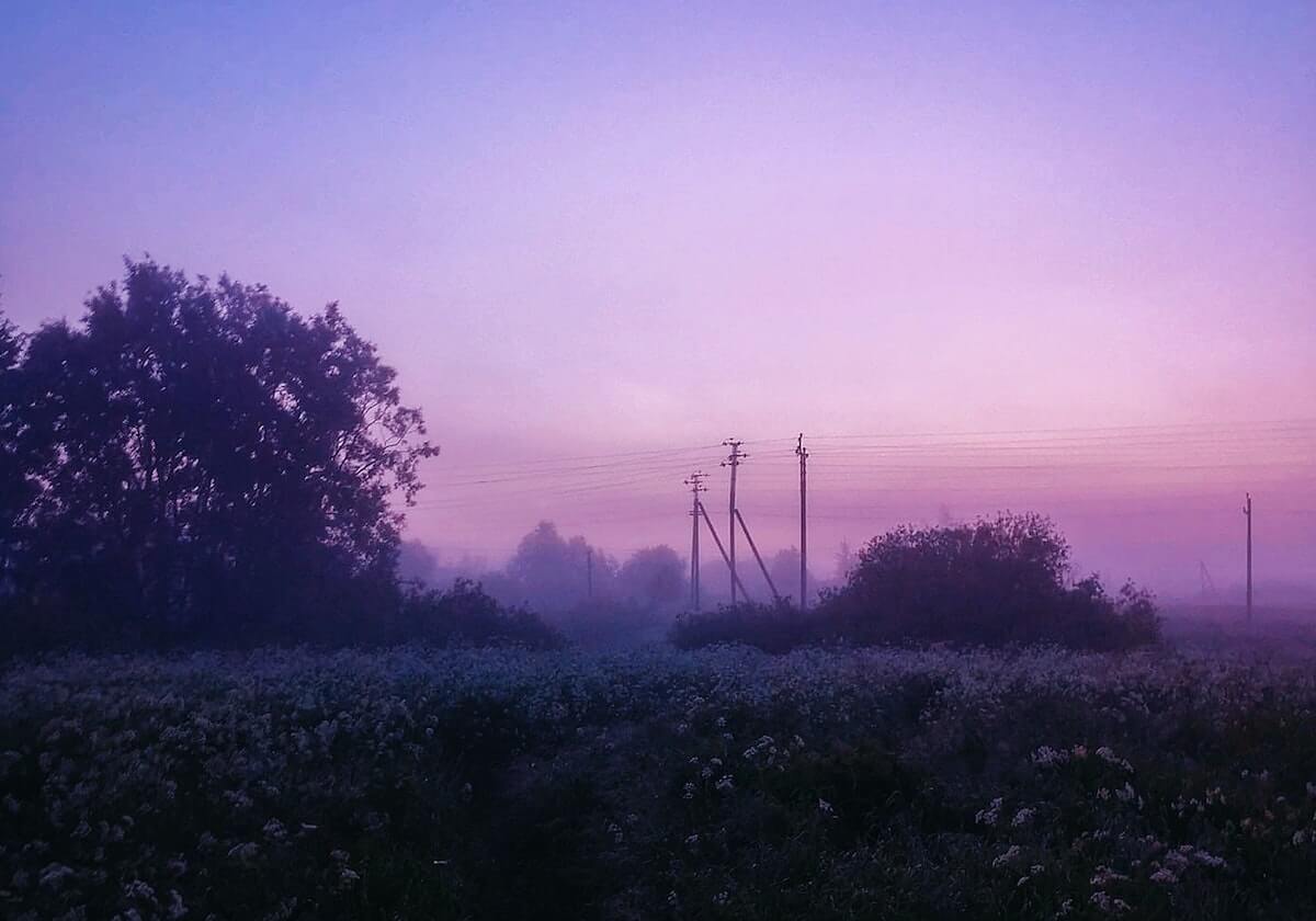 澳网混双第二轮 张帅/普茨组合憾负对手无缘晋级